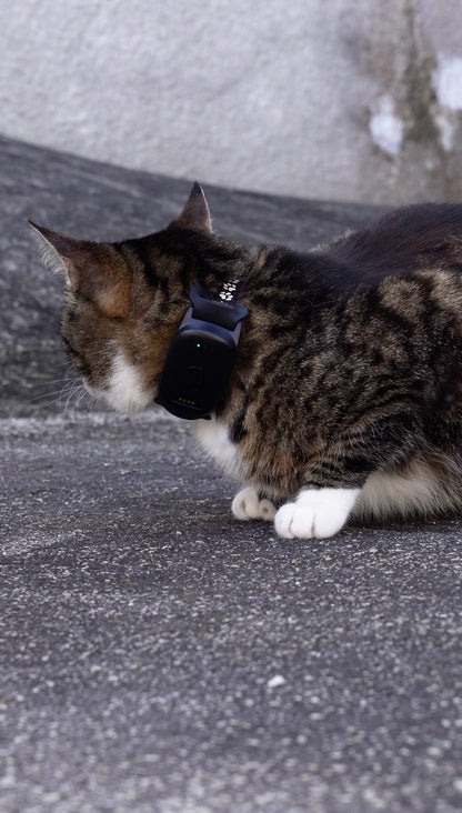 Lunova Ultra Pro 4G GPS Live Pet Tracker
