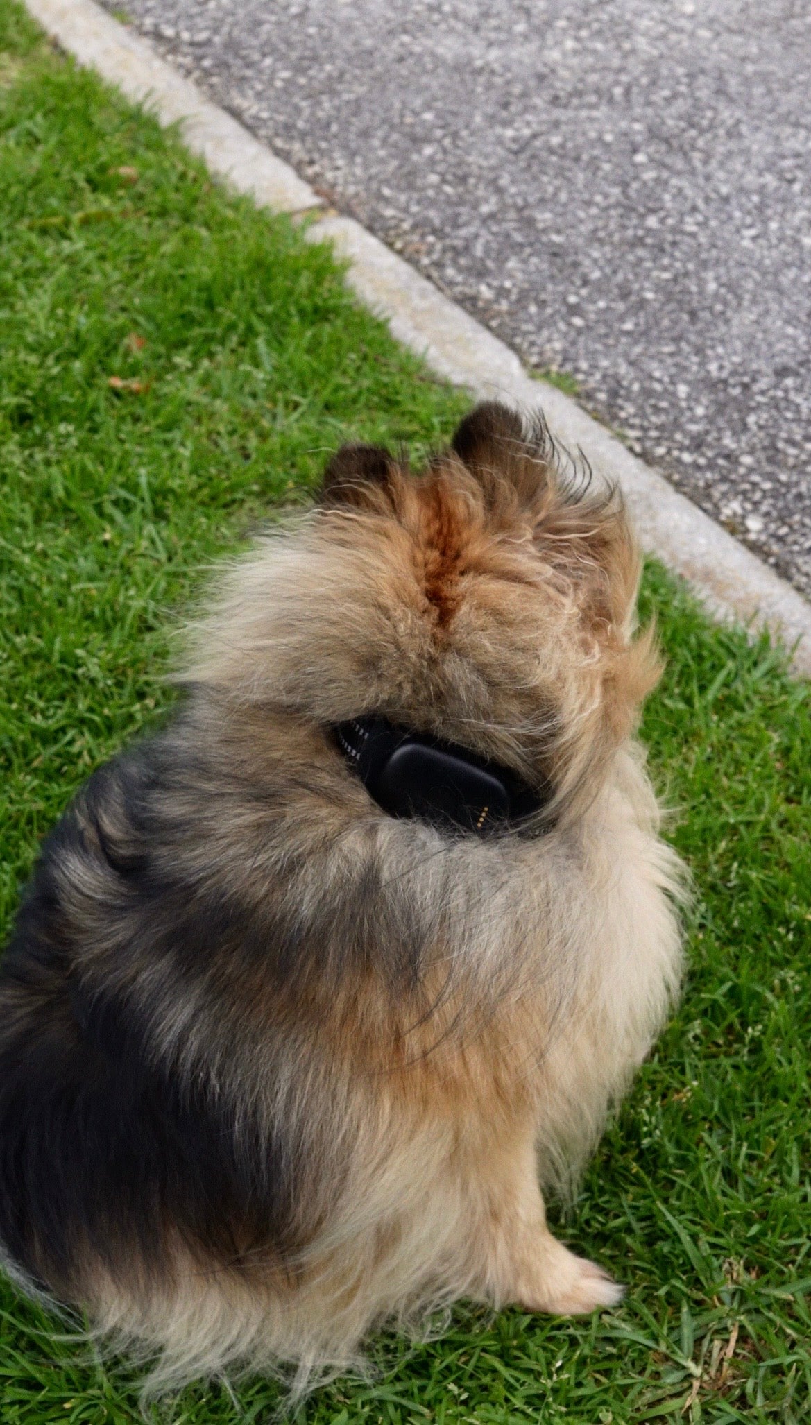 Lunova Ultra Pro 4G GPS Live Pet Tracker
