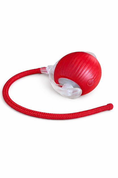 Lunova Interactive String Play Toy (USB Rechargeable)