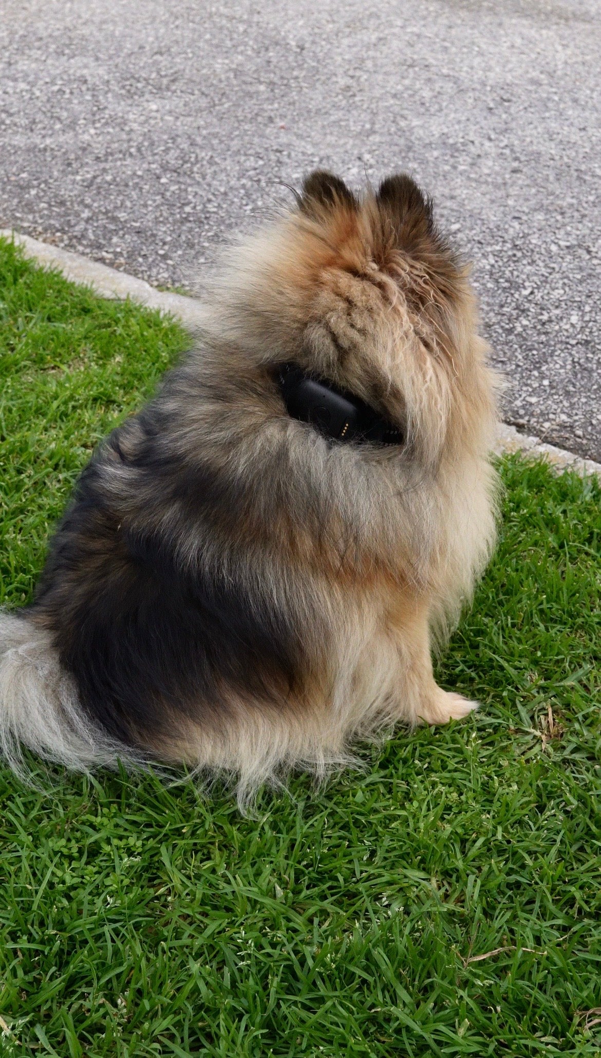 Lunova Ultra Pro 4G GPS Live Pet Tracker