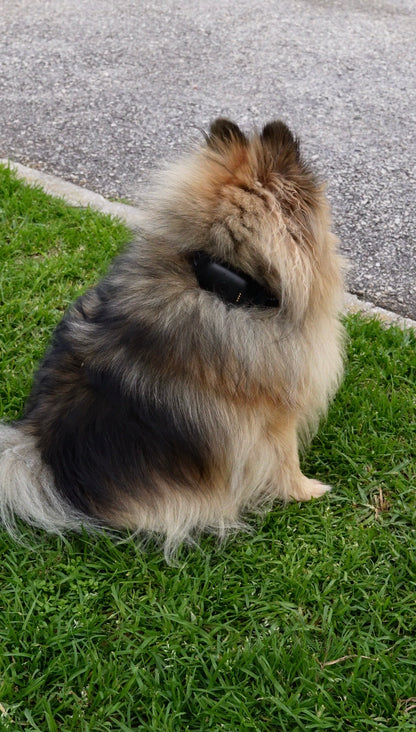 Lunova Ultra Pro 4G GPS Live Pet Tracker