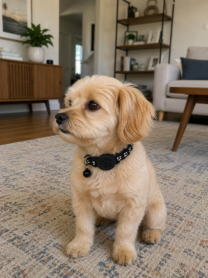 3 in 1 Lunova Smart Pet Tracker