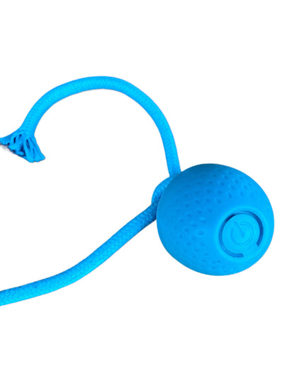 Lunova Interactive Rope Play Toy (USB Rechargeable)
