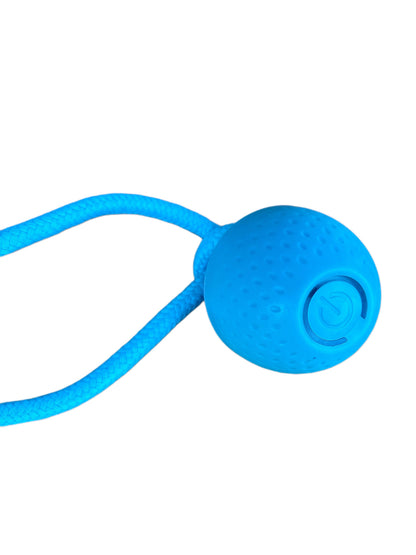 Lunova Interactive Rope Play Toy (USB Rechargeable)