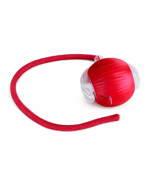 Lunova Interactive String Play Toy (USB Rechargeable)